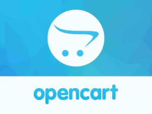 Плюсы грамотного создания интернет-магазина на CMS OpenCart
