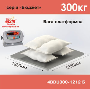 Платформенные весы в интернет-магазине Весы АКСИС Украина: надежность, точность, доступность